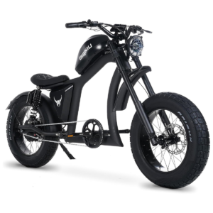 BG-X Electric Bike for Adults